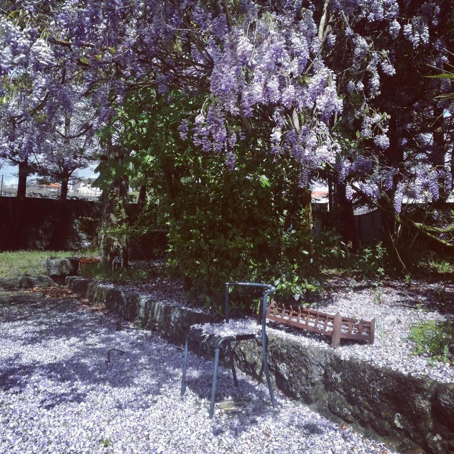 Casa Da Costeira Βίλα Figueiro Εξωτερικό φωτογραφία