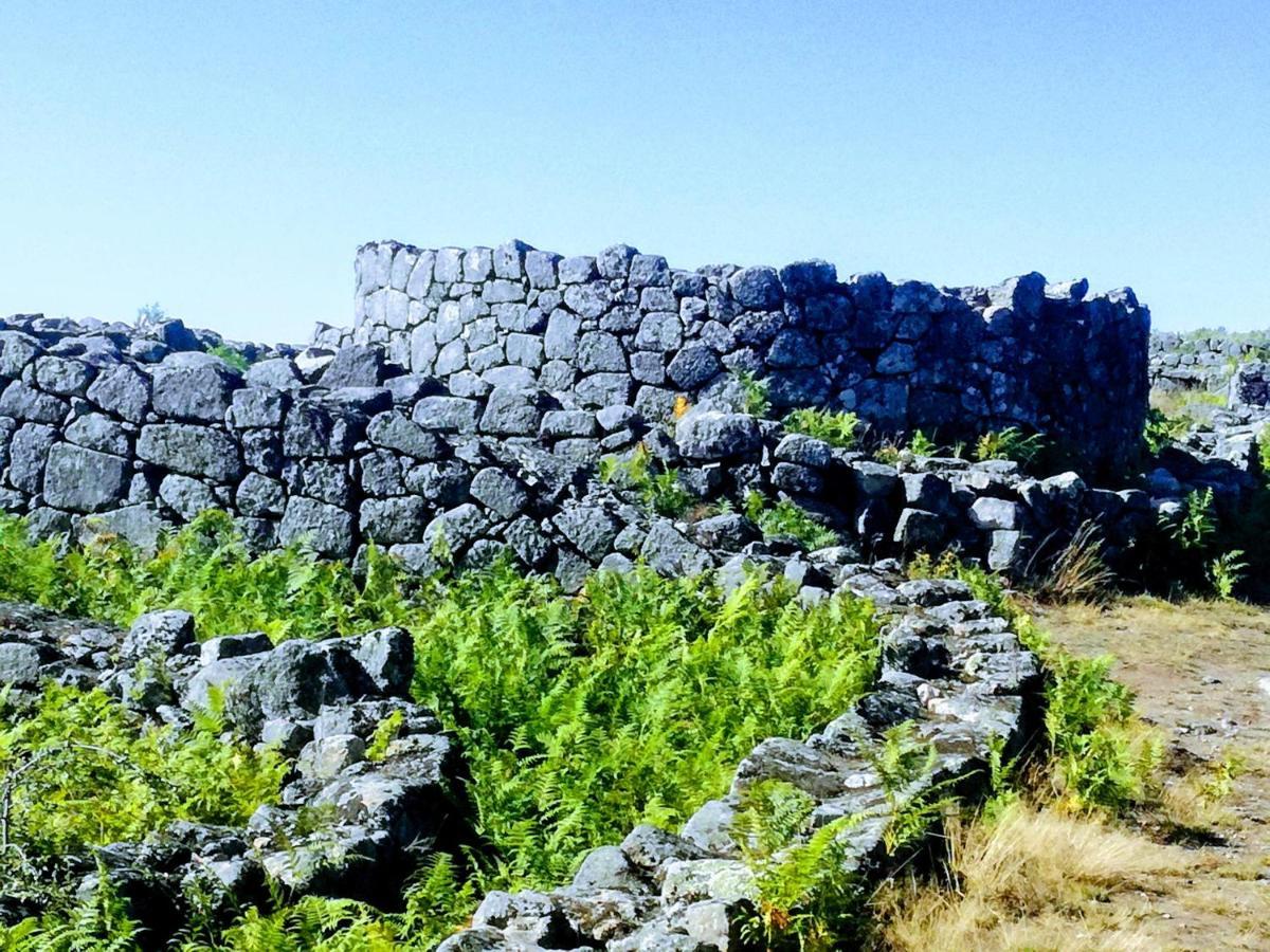 Casa Da Costeira Βίλα Figueiro Εξωτερικό φωτογραφία