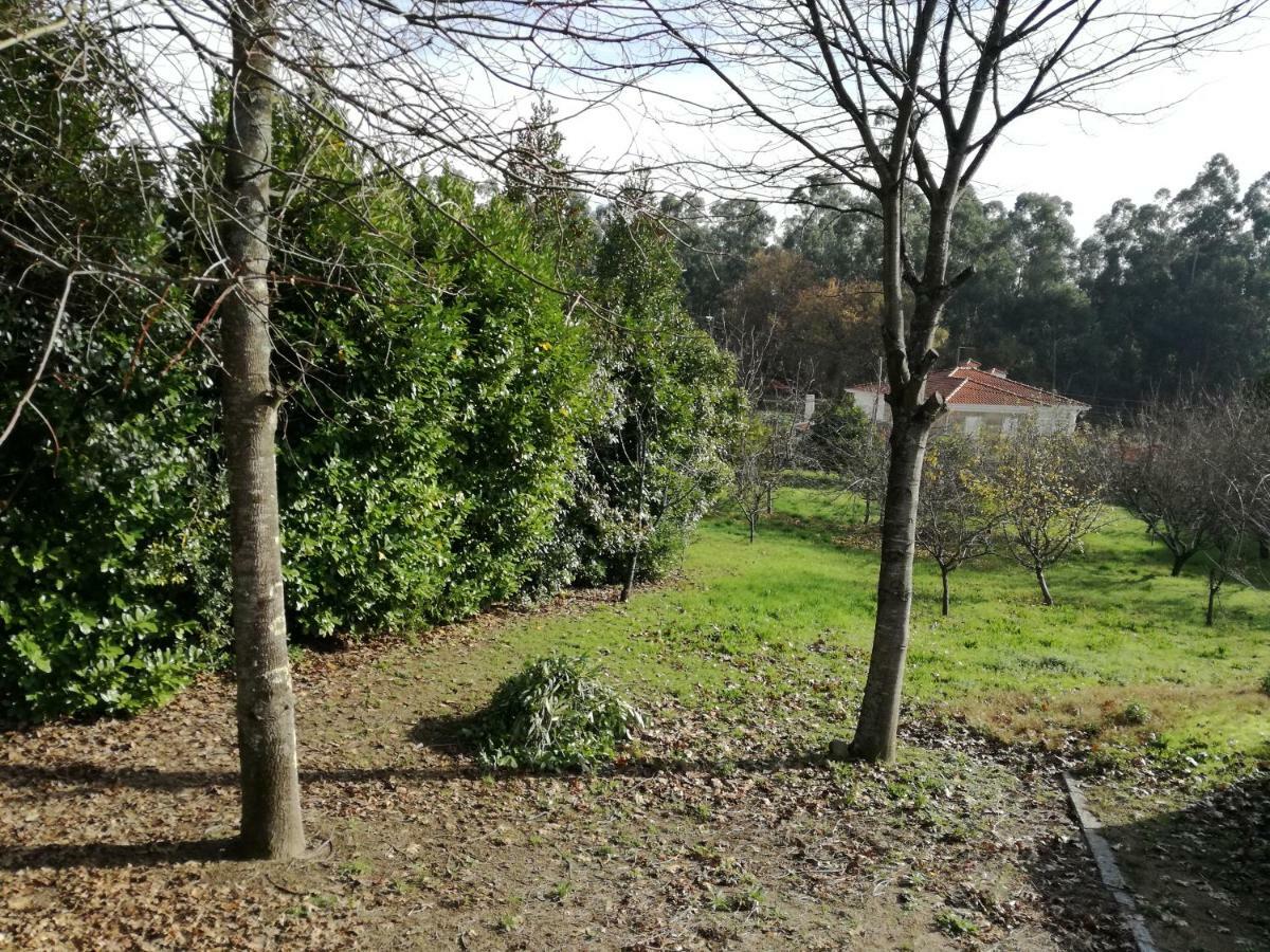 Casa Da Costeira Βίλα Figueiro Εξωτερικό φωτογραφία