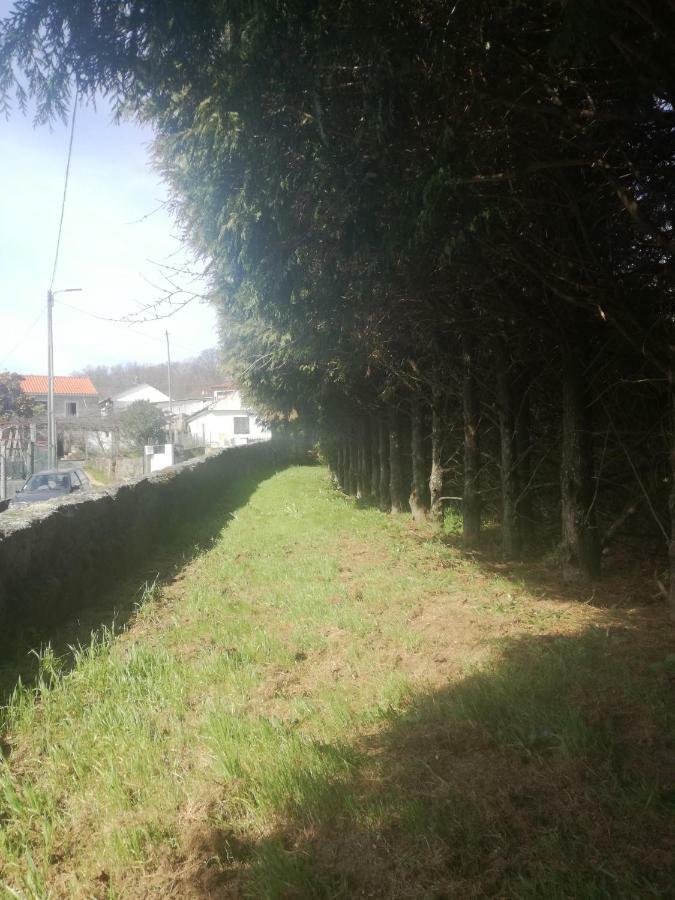 Casa Da Costeira Βίλα Figueiro Εξωτερικό φωτογραφία